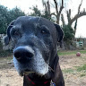 Meet your Posher, Bryan